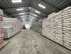 CERI Dorong Kejagung dan KPK Usut Dugaan Korupsi Kuota Pupuk Urea Nonsubsidi